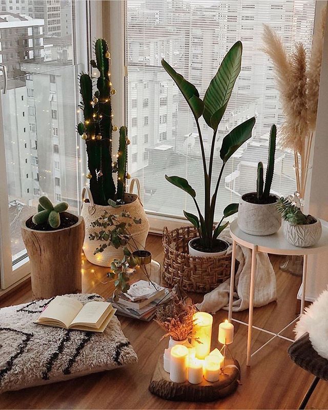 Organized, serene space with plants and soft decor for a fresh start